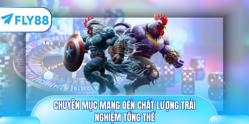 Chuyên mục mang đến chất lượng trải nghiệm tổng thể