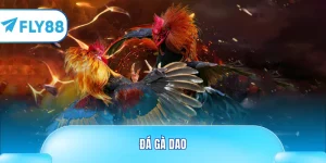 đá gà dao