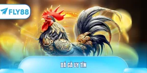 đá gà uy tín