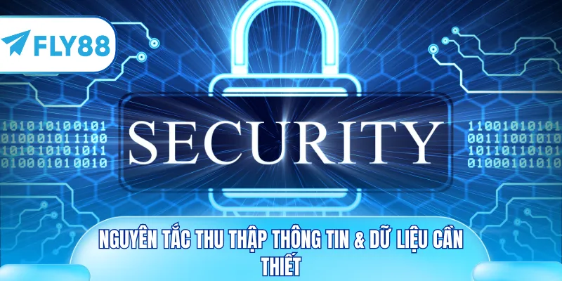 Nguyên tắc thu thập thông tin & dữ liệu cần thiết