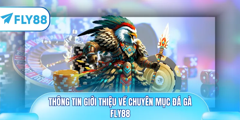 Thông tin giới thiệu về chuyên mục đá gà Fly88